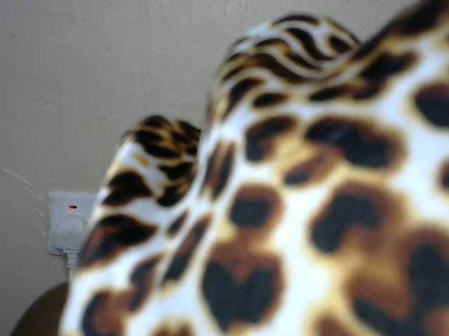SinfulBitch01 live cam on BongaCams