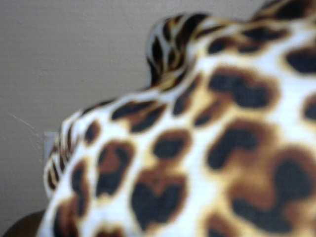 SinfulBitch01 live cam on BongaCams