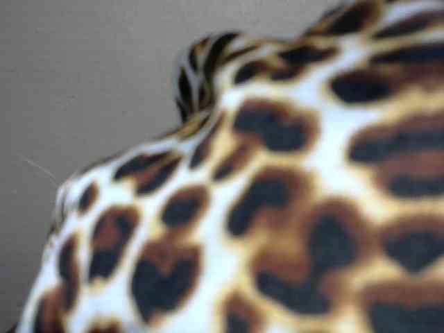 SinfulBitch01 webcam