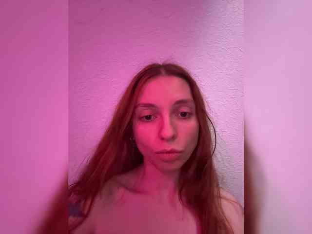 Lerrilla webcam