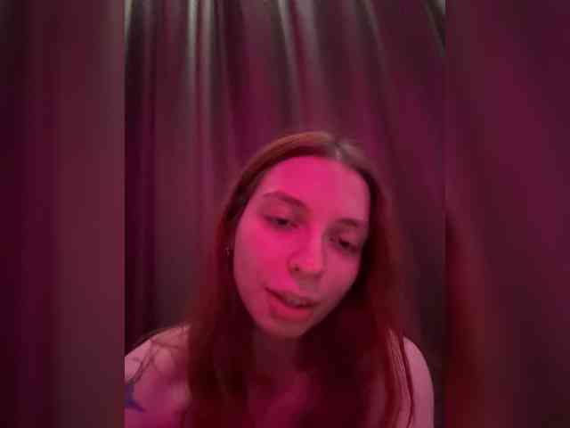 Lerrilla webcam