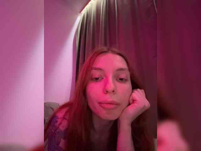 Lerrilla webcam