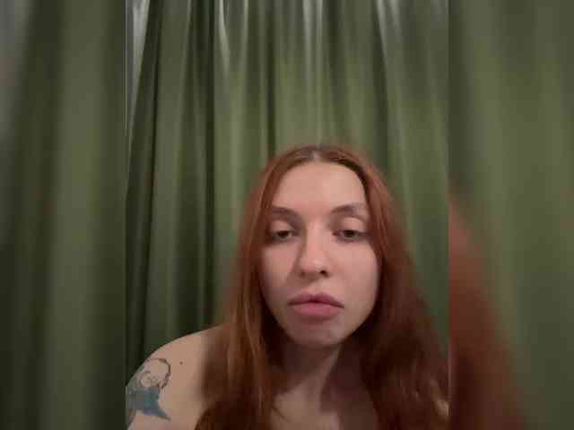 Lerrilla webcam