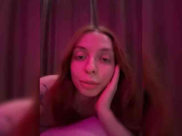 Lerrilla webcam