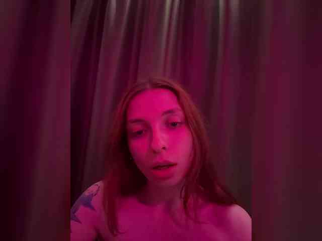 Lerrilla webcam