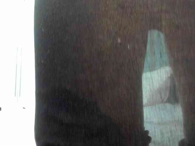 Vinelala