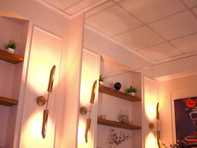 RosaInk live cam preview