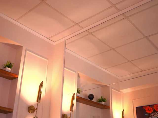 RosaInk live cam on BongaCams