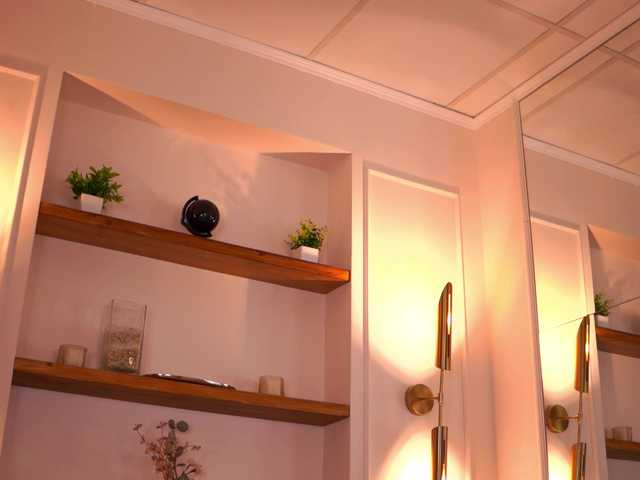 RosaInk live cam preview