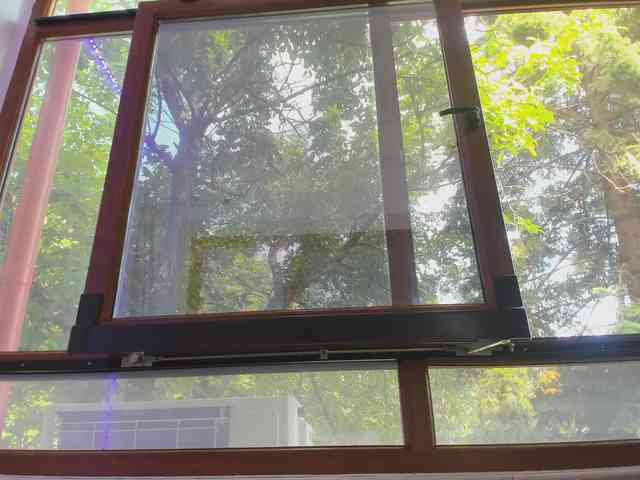 Layla-Noor webcam