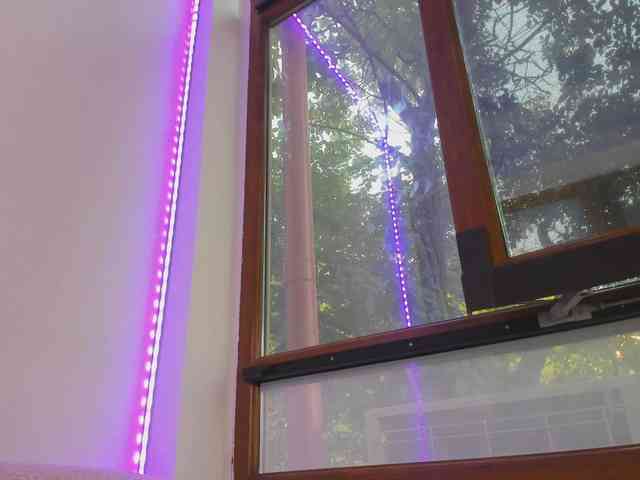 Layla-Noor webcam