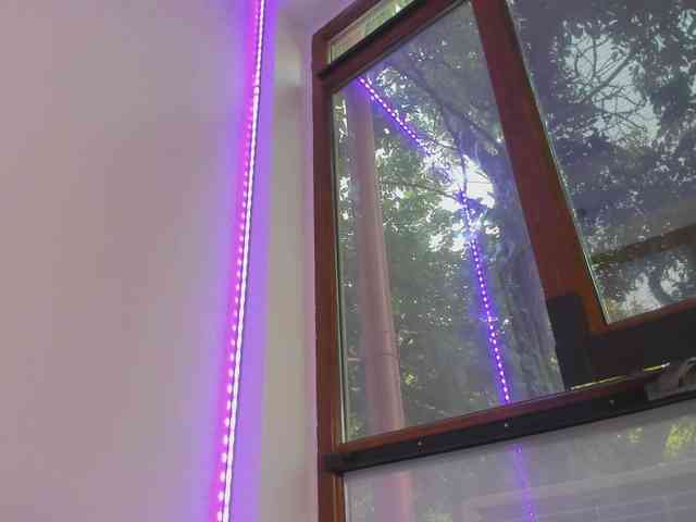 Layla-Noor webcam