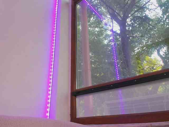 Layla-Noor webcam