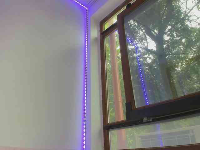 Layla-Noor webcam