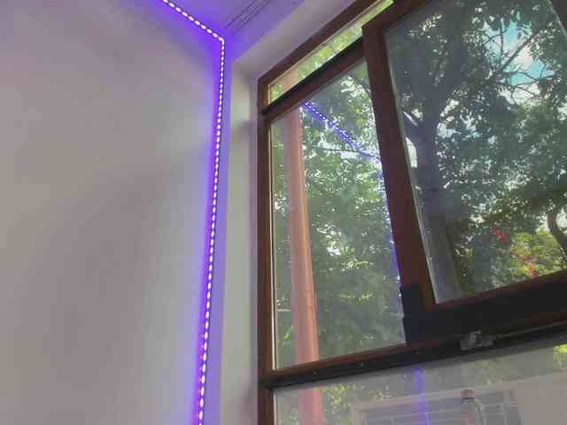 Layla-Noor webcam