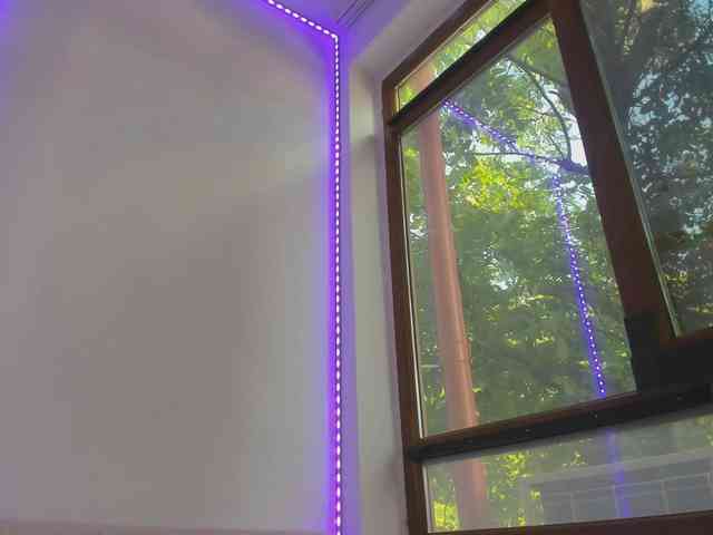 Layla-Noor webcam