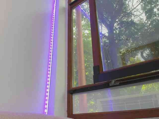 Layla-Noor webcam