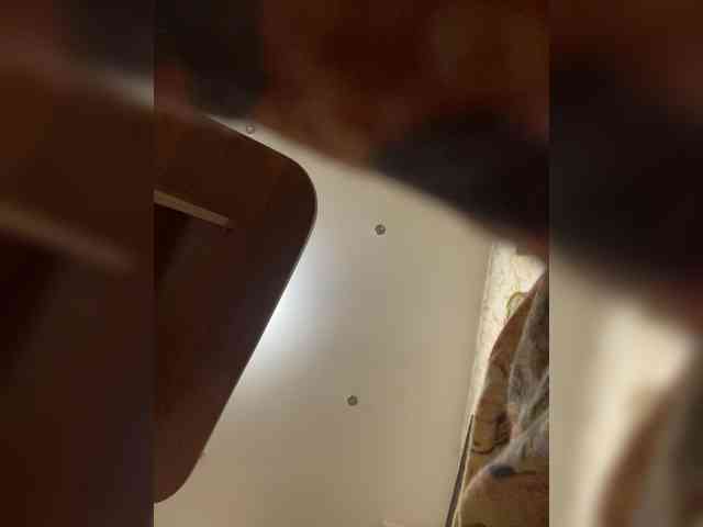 levabubyyy Sex Cam Show