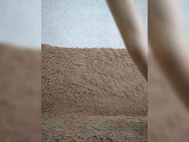 Darra9069-1 webcam