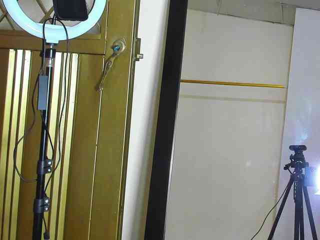 Ariel-Pink webcam