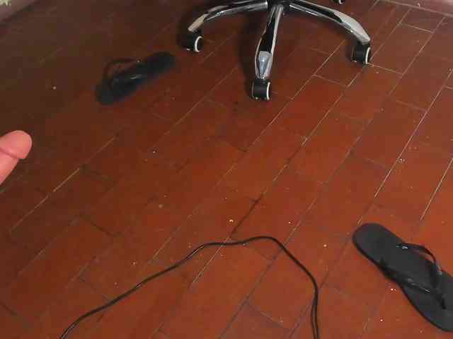 Ariel-Pink webcam