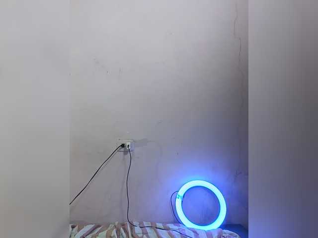milanxbunny333