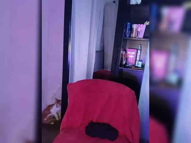 milanxbunny333 milanxbunny333