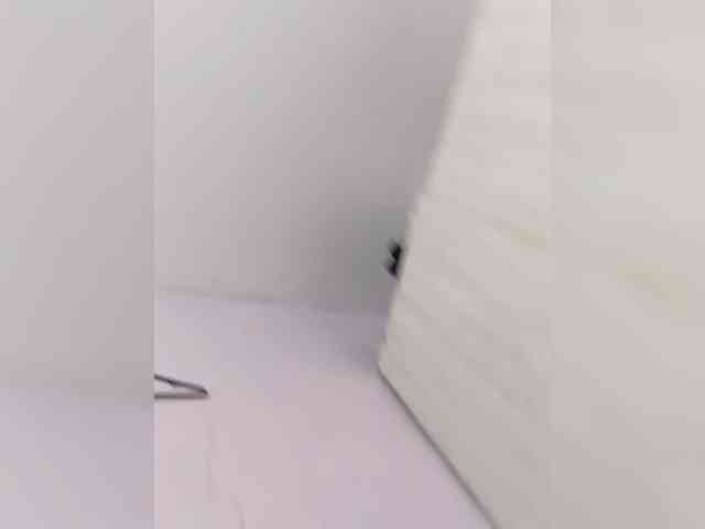 milanxbunny333 webcam