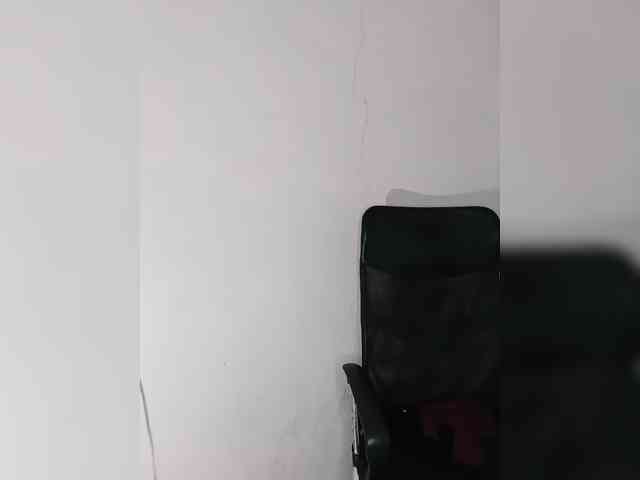 milanxbunny333 webcam