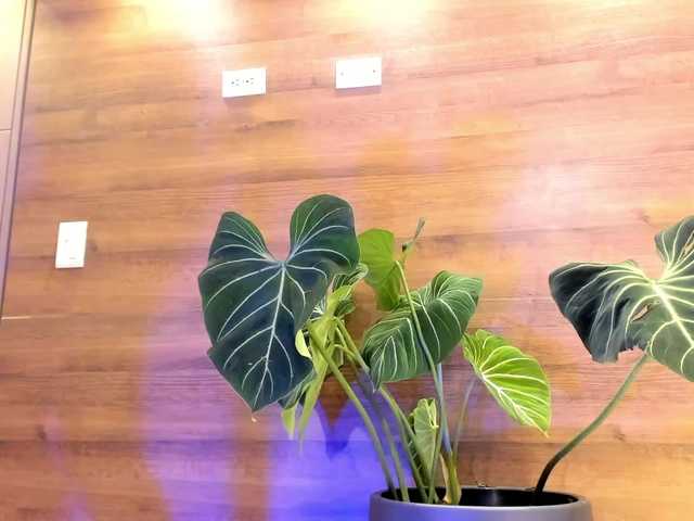Reyasimos live webcam show