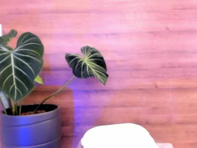 Reyasimos live webcam show