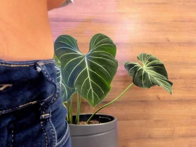 Reyasimos live webcam show
