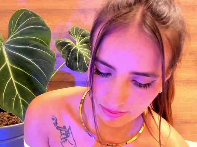 Reeyasimos webcam