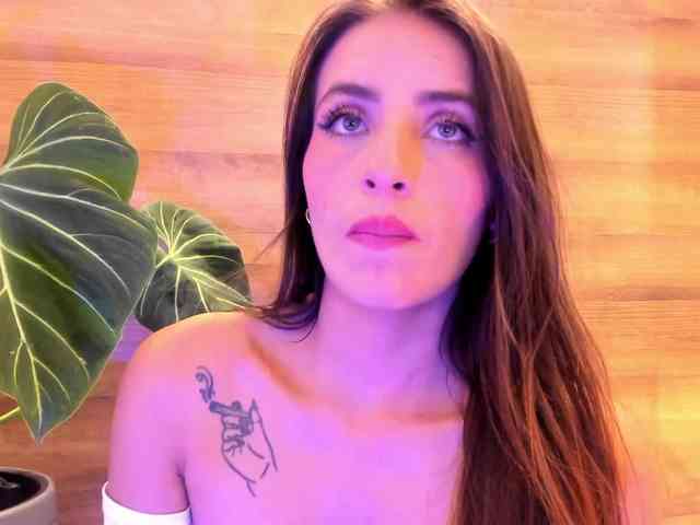 Reeyasimos webcam