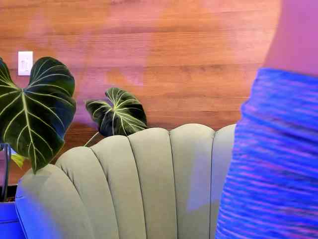 Reeyasimos webcam