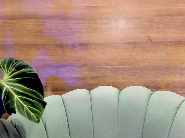 Reeyasimos webcam