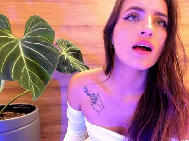 Reeyasimos webcam