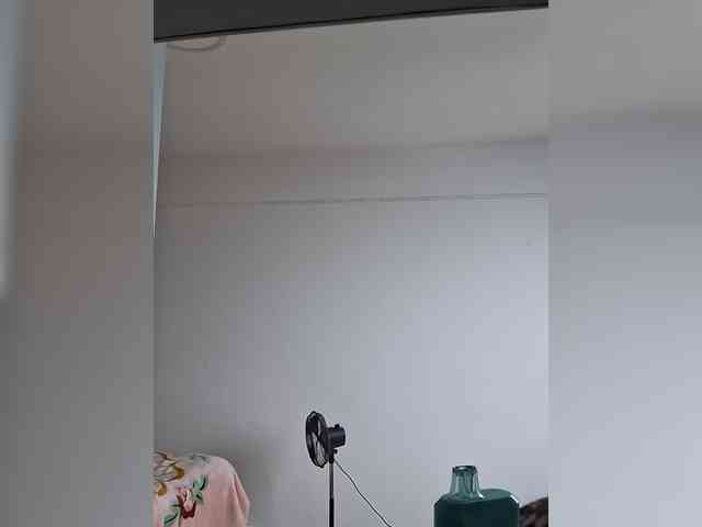 Reeyasimos webcam
