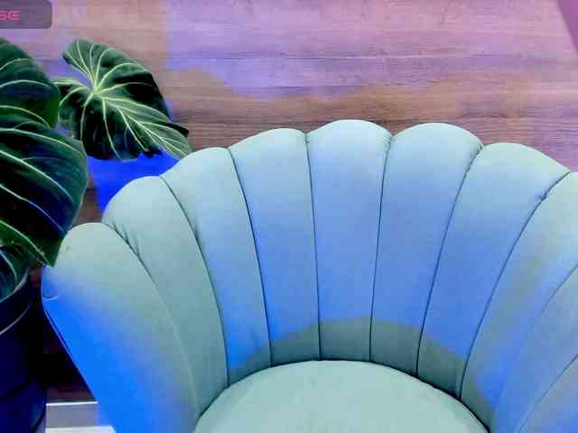 Reeyasimos webcam