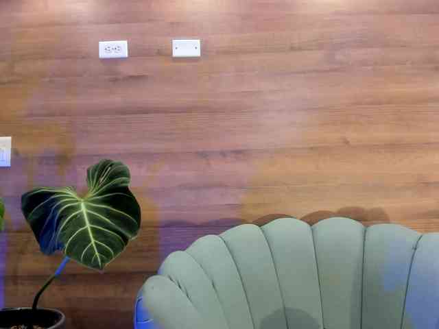 Reeyasimos webcam