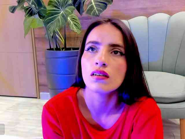 Reeyasimos webcam