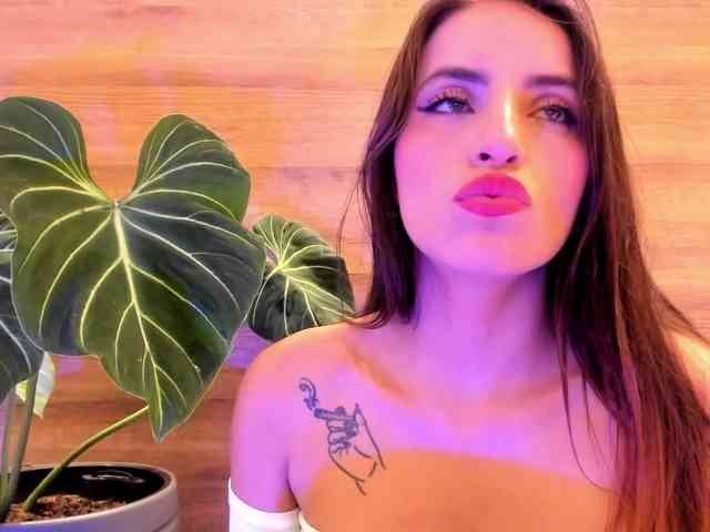 Reeyasimos webcam