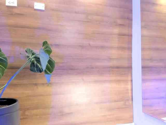 Reeyasimos webcam