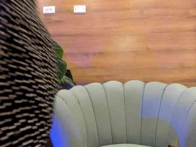 Reeyasimos webcam