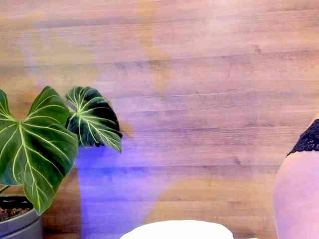 Reeyasimos webcam