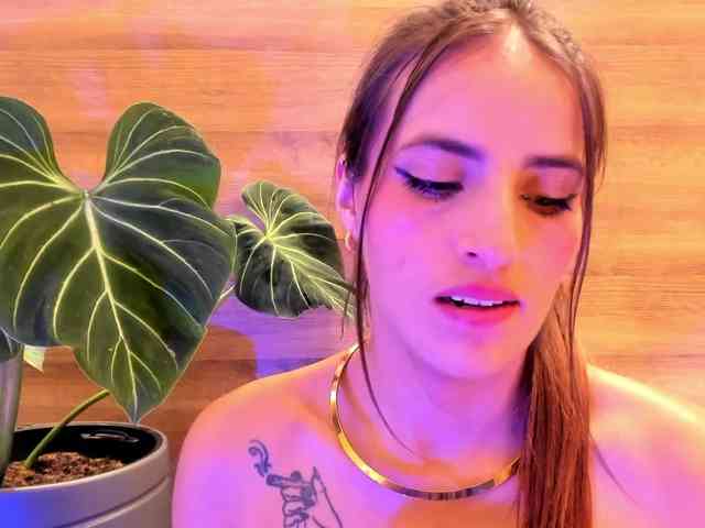 Reeyasimos webcam