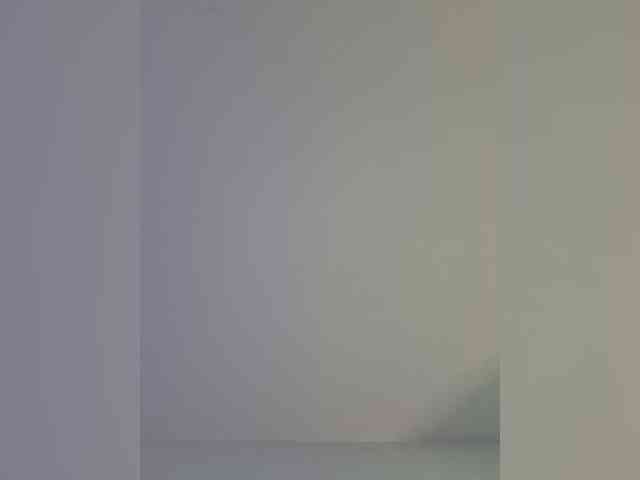 Reeyasimos webcam