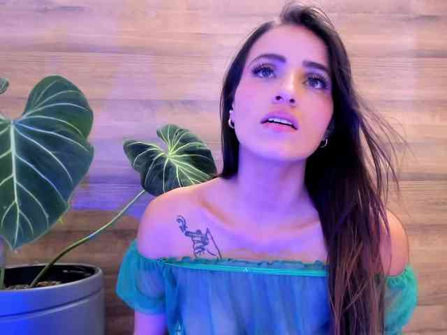Reeyasimos webcam