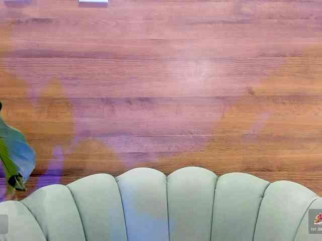 Reeyasimos webcam