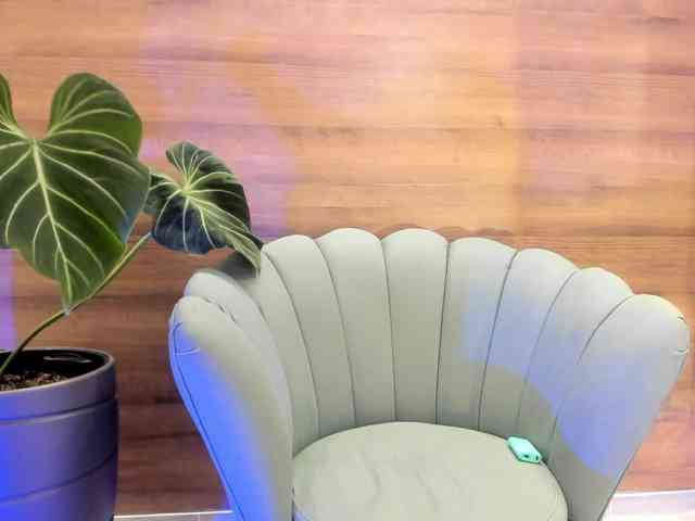 Reeyasimos webcam